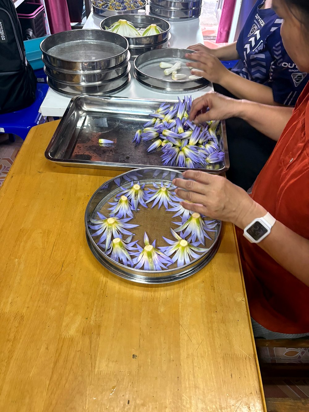 Whole flowers being laid out one by one on a drying tray